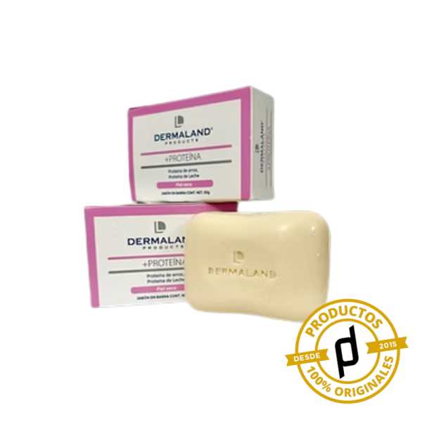 Dermaland +Proteína 90g